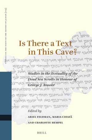 Is There a Text in this Cave? Studies in the Textuality of the Dead Sea Scrolls in Honour of George J. Brooke de Ariel Feldman