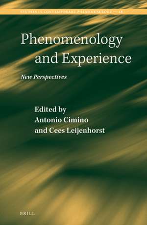 Phenomenology and Experience: New Perspectives de Antonio Cimino