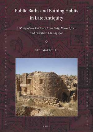 Public Baths and Bathing Habits in Late Antiquity: A Study of the Evidence from Italy, North Africa and Palestine A.D. 285-700 de Sadi Maréchal