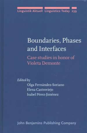 Boundaries, Phases and Interfaces