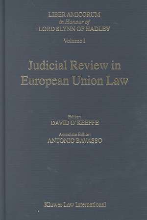 Judicial Review in European Union Law de Antonio Bavasso