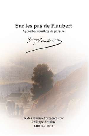 Sur les pas de Flaubert: Approches sensibles du paysage de Philippe Antoine