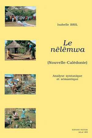 Le Nelemwa (Nouvelle-Caledonie): Analyse Syntaxique Et Semantique de Isabelle Bril