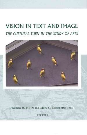 Vision in Text and Image: The Cultural Turn in the Study of Arts de H. W. Hoen