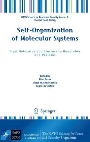 Self-Organization of Molecular Systems: From Molecules and Clusters to Nanotubes and Proteins de Nino Russo