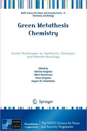 Green Metathesis Chemistry: Great Challenges in Synthesis, Catalysis and Nanotechnology de Valerian Dragutan