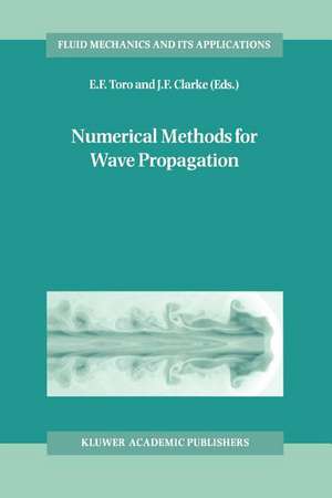 Numerical Methods for Wave Propagation: Selected Contributions from the Workshop held in Manchester, U.K., Containing the Harten Memorial Lecture de E.F. Toro