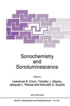 Sonochemistry and Sonoluminescence de L.A. Crum