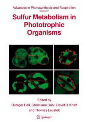 Sulfur Metabolism in Phototrophic Organisms de Rüdiger Hell