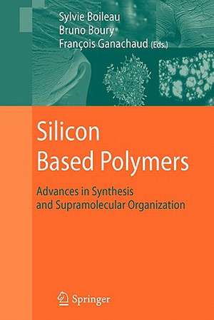 Silicon Based Polymers: Advances in Synthesis and Supramolecular Organization de François Ganachaud