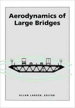 Aerodynamics of Large Bridges de Allan Larsen