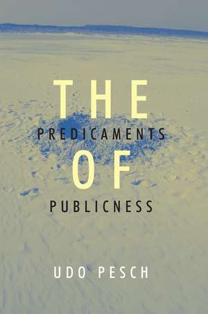 The Predicaments of Publicness: An Inquiry into the Conceptual Ambiguity of Public Administration de Udo Pesch