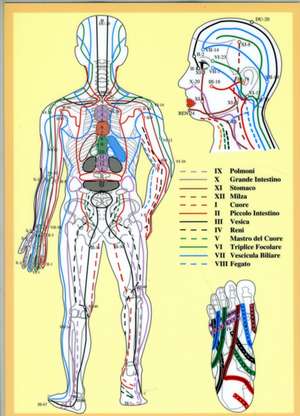 Masunaga Zen Shiatsu Ketsu -- A4: Zen Shiatsu Ketsu de Jan van Baarle