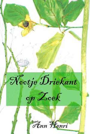 Nootje Driekant op Zoek de Ann Henri