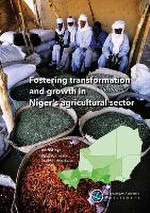 Fostering transformation and growth in Niger's agricultural sector de Fleur Wouterse