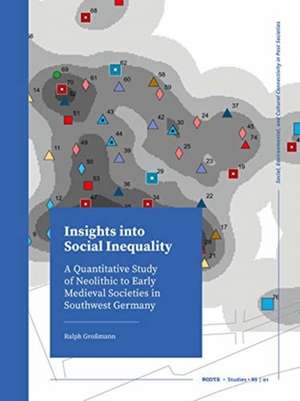 Insights into Social Inequality de Ralph Grossmann