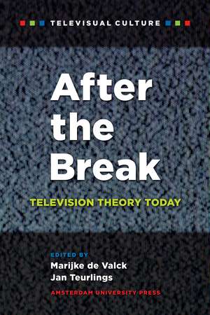 After the Break: Television Theory Today de Jan Teurlings