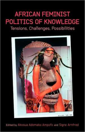 African Feminist Politics of Knowledge. Tensions, Challenges, Possibilities de Akosua Adomako Ampofo