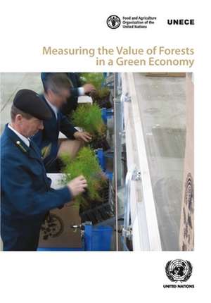 Measuring the Value of Forests in a Green Economy de United Nations