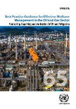 Best Practice Guidance for Effective Methane Management in the Oil and Gas Sector de United Nations Publications