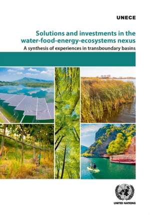 Solutions and Investments in the Water-Food-Energy-Ecosystems Nexus de United Nations