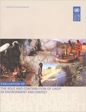 Evaluation of the Role and Contribution of Undp in Environment and Energy de United Nations