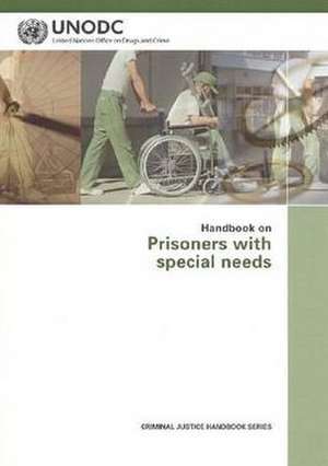 Handbook on Prisoners with Special Needs de United Nations