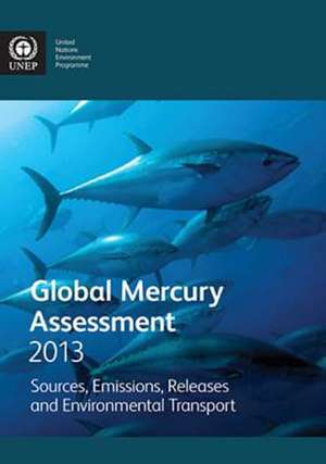 Global Mercury Assessment 2013: Sources, Emissions, Releases and Environmental Transport de United Nations