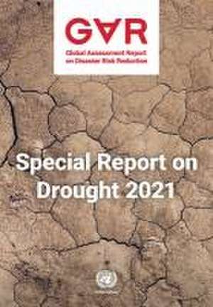 Global Assessment Report on Disaster Risk Reduction 2021 de United Nations Publications