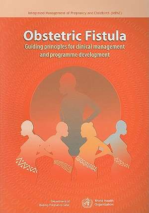 Obstetric Fistula: Guiding Principles for Clinical Management and Programme Development de World Health Organization