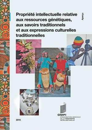 Propriete Intellectuelle Relative Aux Ressources Genetiques, Aux Savoirs Traditionnels Et Aux Expressions Culturelles Traditionnelles