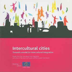 Intercultural Cities: Insights from the Intercultural Cities Programme, Joint Action of the C de Phil Wood