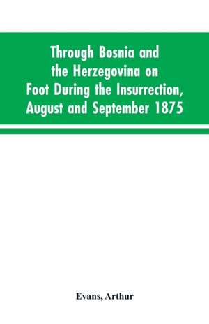 Through Bosnia and the Herzegovina on foot during the insurrection, August and September 1875 de Arthur Evans