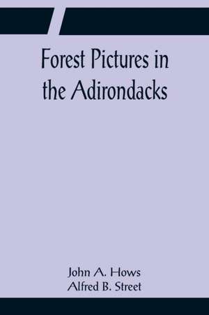 Forest Pictures in the Adirondacks de John A. Hows Alfred B. Street