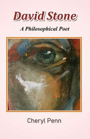 Penn, C: DAVID STONE - A PHILOSOPHICAL