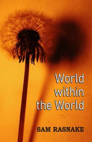 World within the World de Sam Rasnake