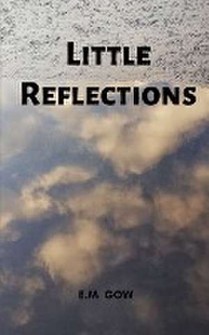 Little reflections de E. M Gow