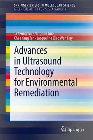 Advances in Ultrasound Technology for Environmental Remediation de Ta Yeong Wu