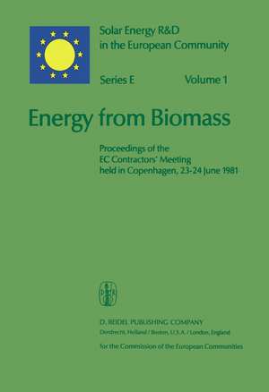 Energy from Biomass: Proceedings of the EC Contractors’ Meeting held in Copenhagen, 23–24 June 1981 de P. Chartier