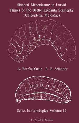 Skeletal Musculature in Larval Phases of the Beetle Epicauta Segmenta (Coleoptera, Meloidae) de A. Berrios-Ortiz