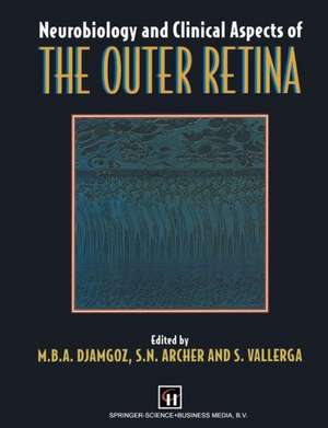 Neurobiology and Clinical Aspects of the Outer Retina de M.B. Djamgoz