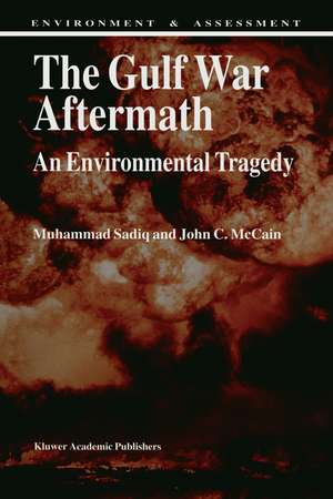 The Gulf War Aftermath: An Environmental Tragedy de M. Sadiq