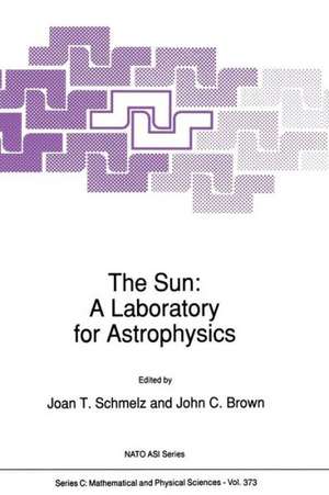 The Sun: A Laboratory for Astrophysics de J.T. Schmelz