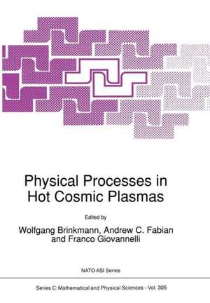 Physical Processes in Hot Cosmic Plasmas de W. Brinkmann