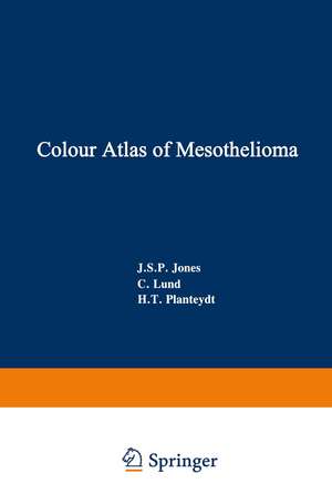 Colour Atlas of Mesothelioma: Prepared for the Commission of the European Communities, Directorate-General Employment, Social Affairs and Education, Industrial Medicine and Hygiene Division de J.S.P. Jones