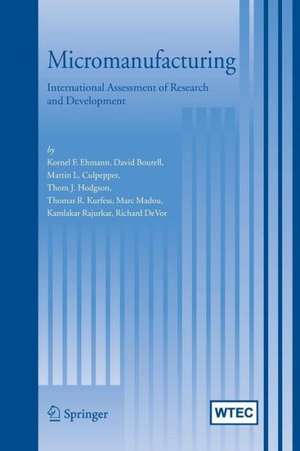 Micromanufacturing: International Research and Development de Kornel F. Ehmann