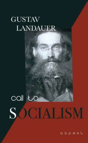 Call to Socialism de Gustav Landauer