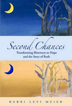 Second Chances: Transforming Bitterness to Hope and the Story of Ruth de Rabbi Rabbi Levi Meier