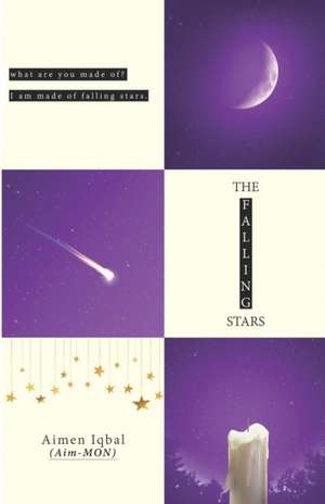 The Falling Stars de Aimen Iqbal