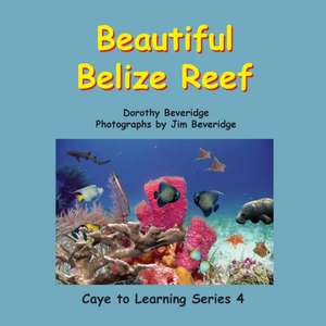 Beautiful Belize Reef de Dorothy Beveridge